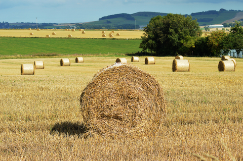 Hay bale in a field at Harlaw, by Inverurie, Aberdeenshire, Scotland.
